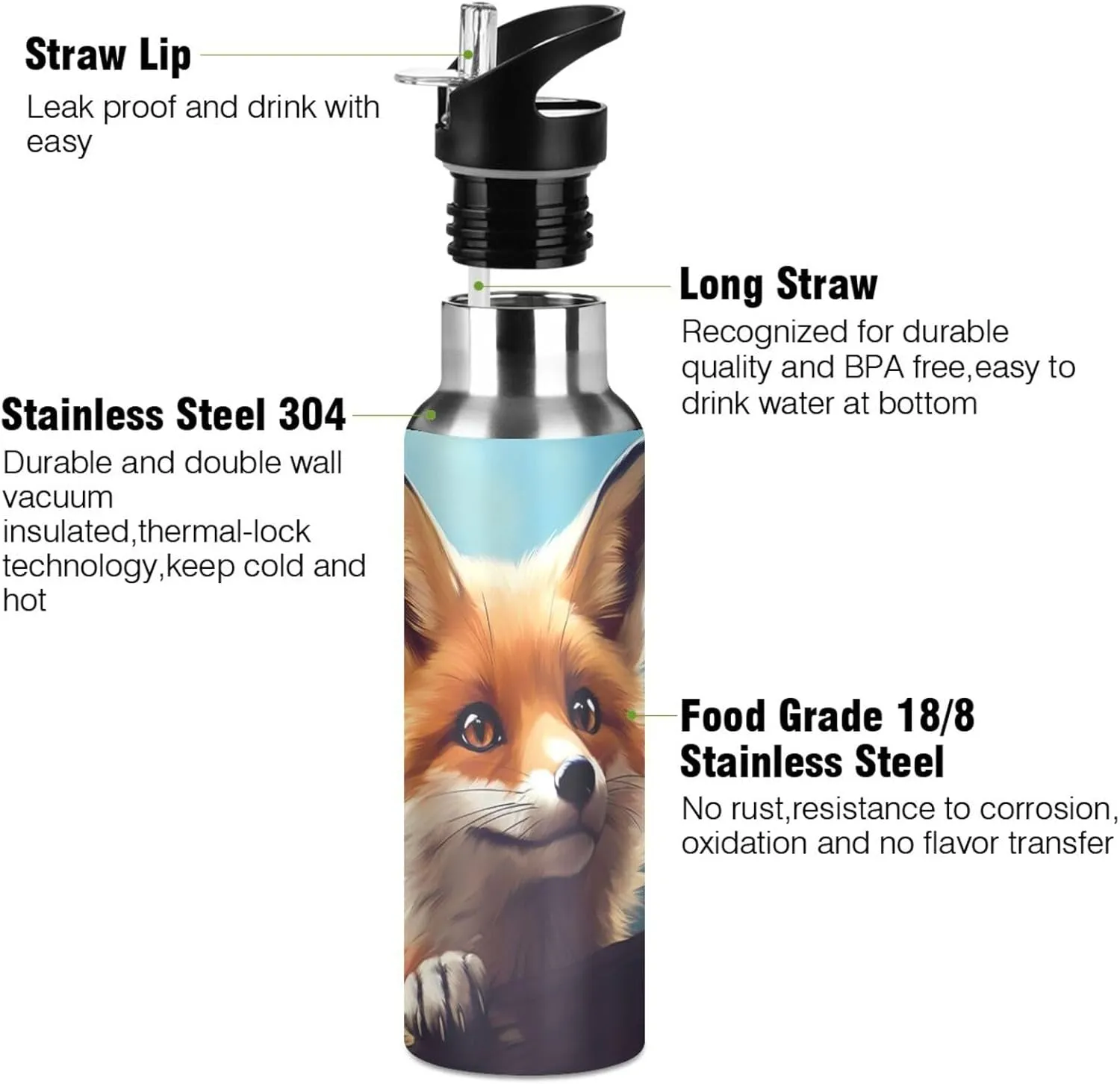 Burbuja Cute Fox Stainless Steel Water Bottle, Vacuum Insulated Water Bottles with Straw Lid for Sports, Gym, School - Leak & Sweat Proof, BPA Free, 20 oz