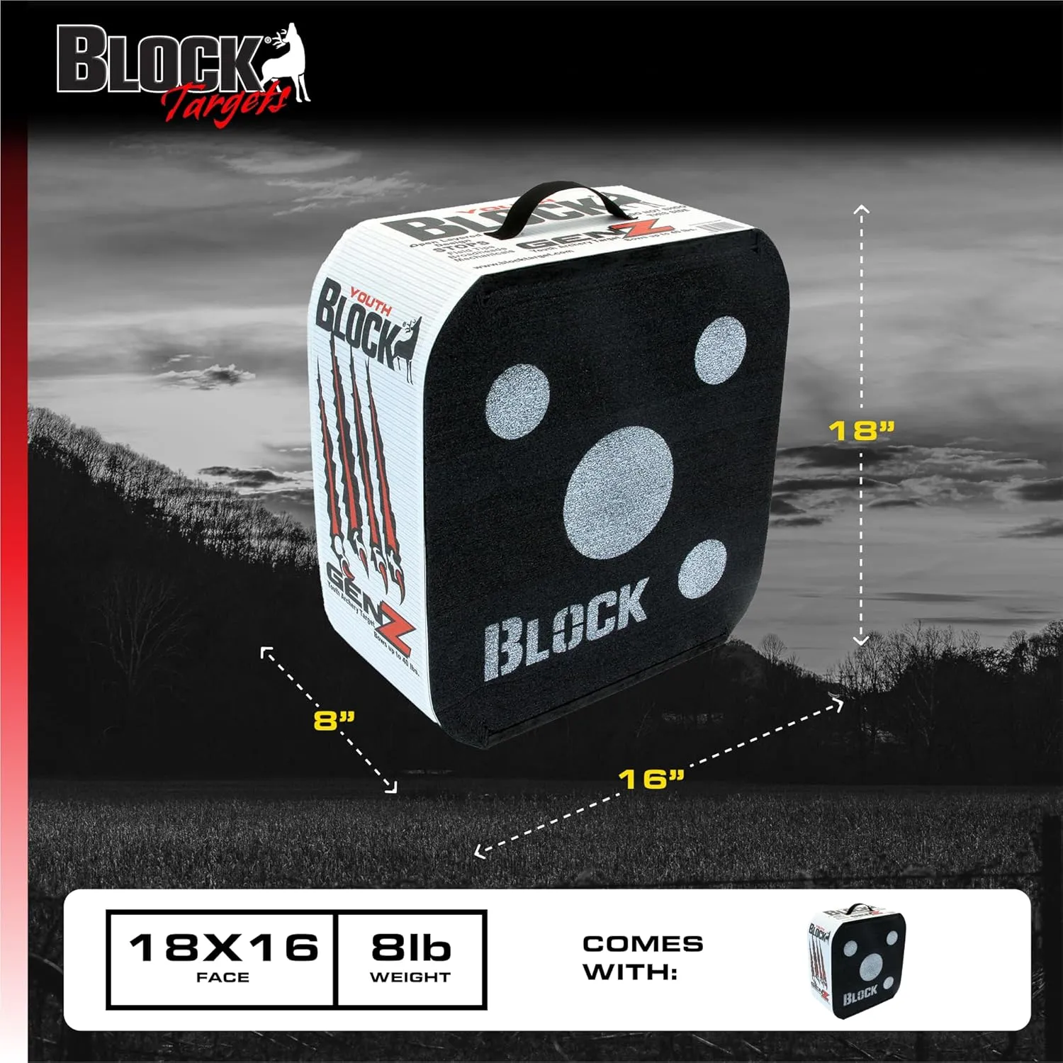 GenZ Youth Open Archery Arrow Target - Patented Open Layer Design, Easy Arrow Removal, Great Visibility, Lightweight, Easy to Transport, Two