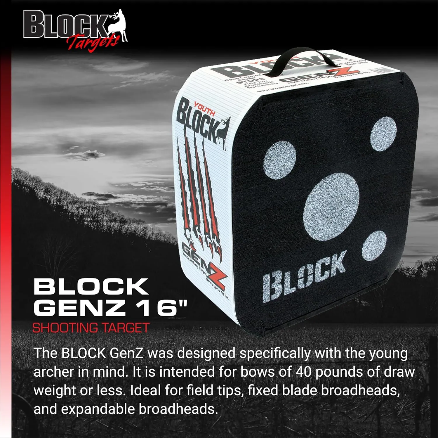 GenZ Youth Open Archery Arrow Target - Patented Open Layer Design, Easy Arrow Removal, Great Visibility, Lightweight, Easy to Transport, Two
