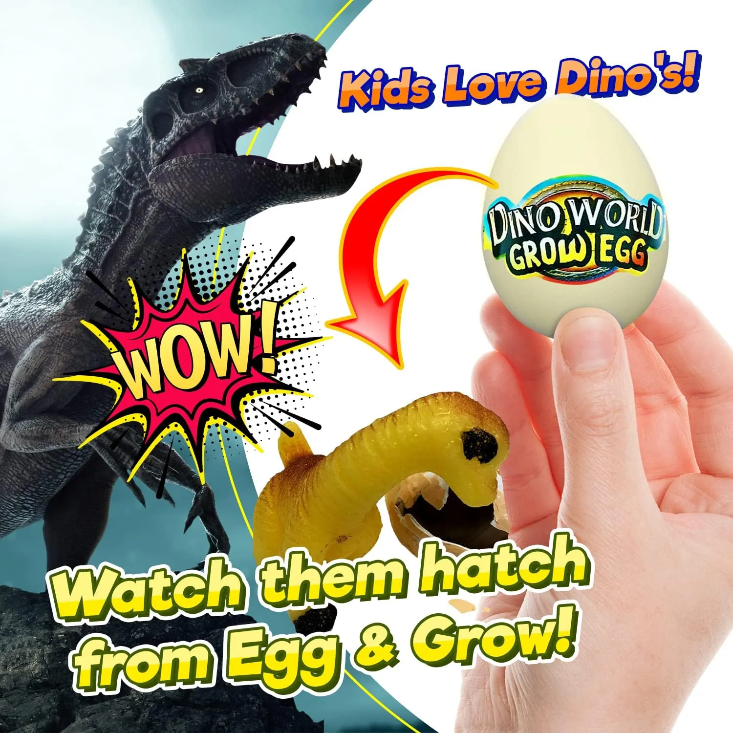 JA-RU Dino World Hatching Dinosaur Eggs Water Growing Toys for Kids (6 Eggs) Surprise Dino Egg. Educational Science Toys. Bulk Dinosaur Goodie Bag Stuffers & Party Favors. 1745-6p