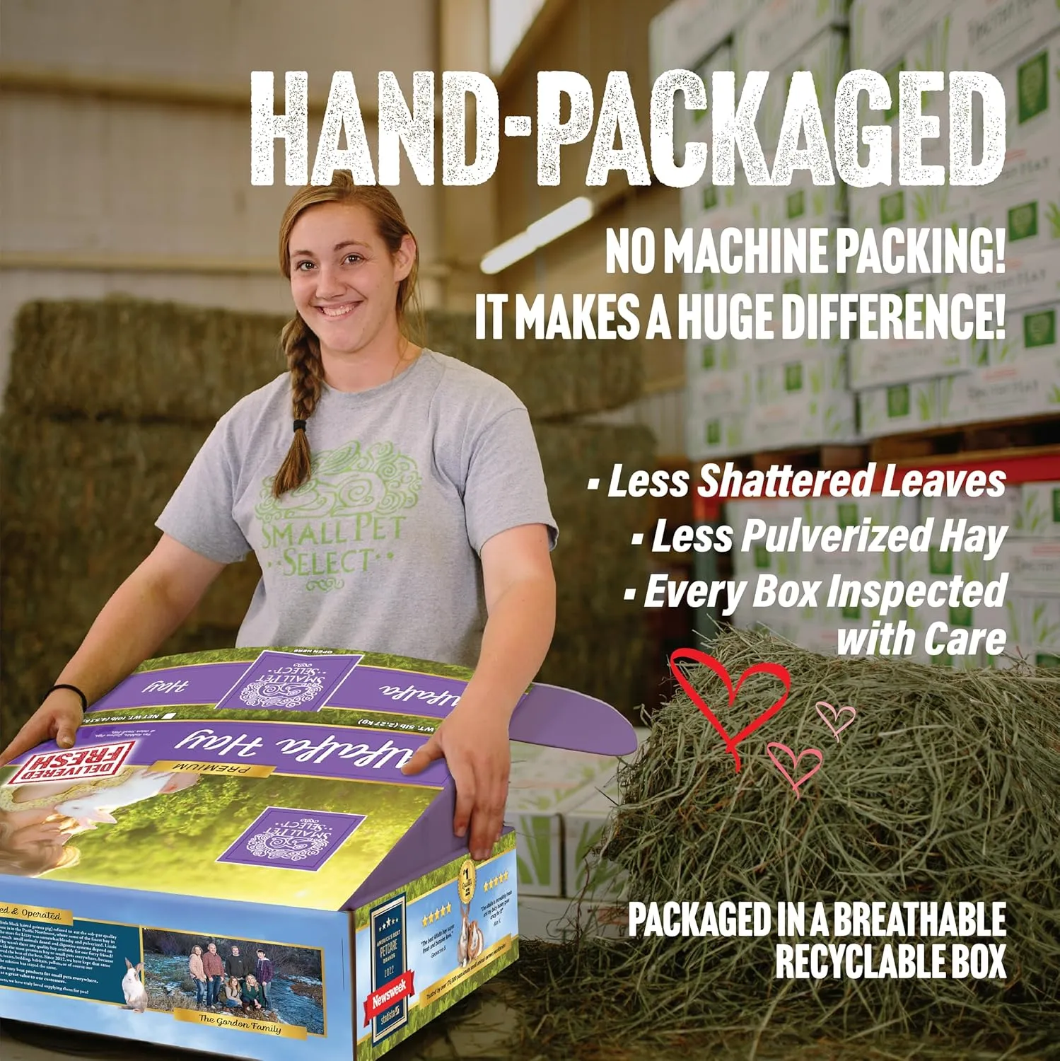 Small Pet Select Alfalfa Hay Pet Food for Young Rabbits, Guinea Pigs, Chinchillas, Tortoises and Other Small Animals, Easy to Store Box, 10 LB