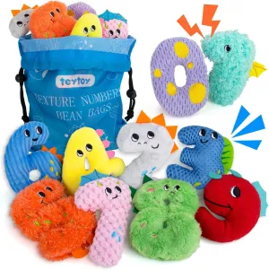 teytoy Texture Sensory Bean Bags Toys for Autism, 10 Fidget Sensory Number Toys with Storage Bag, Develop Fine Motor & Sensory Play for Baby Boys Girls Special Needs Developmental Toys
