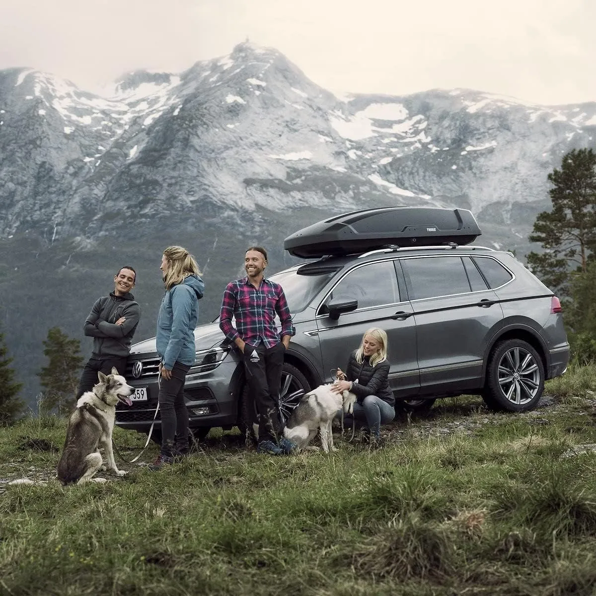 Thule Force Rooftop Cargo Box