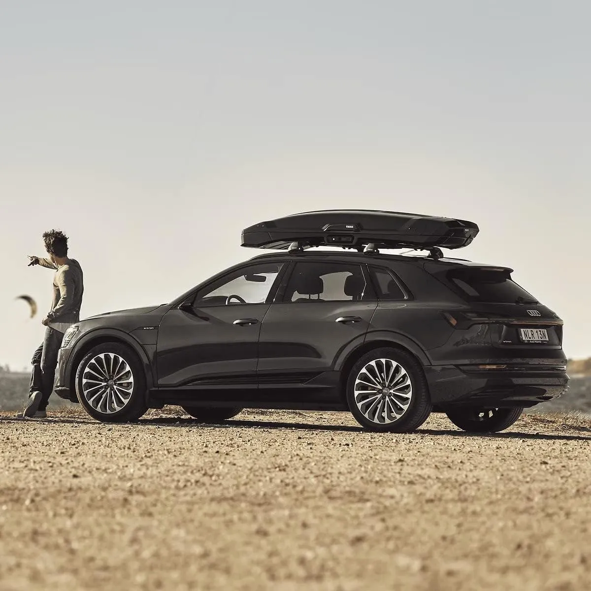 Thule Vector Rooftop Cargo Box
