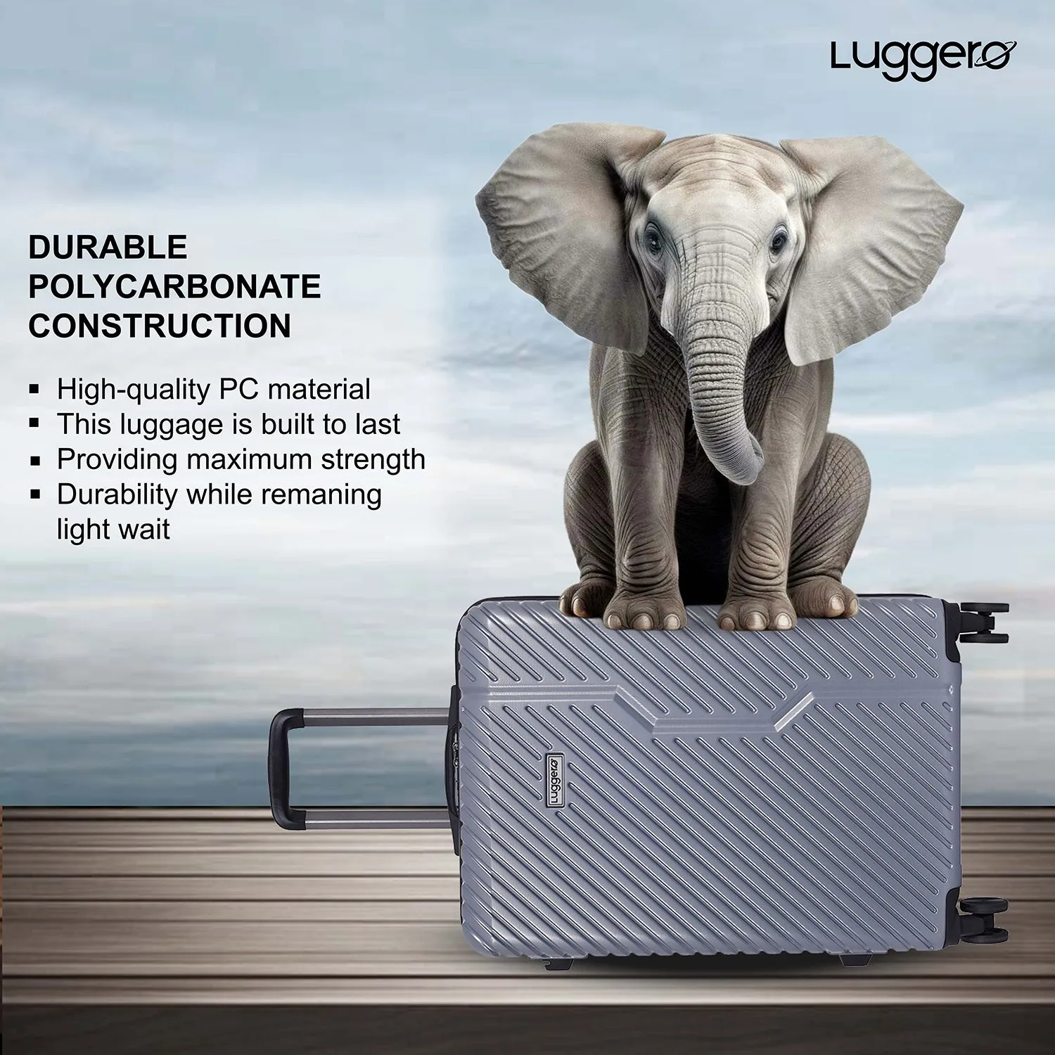 Vivid Silver Light weight luggage - Cabin & Medium